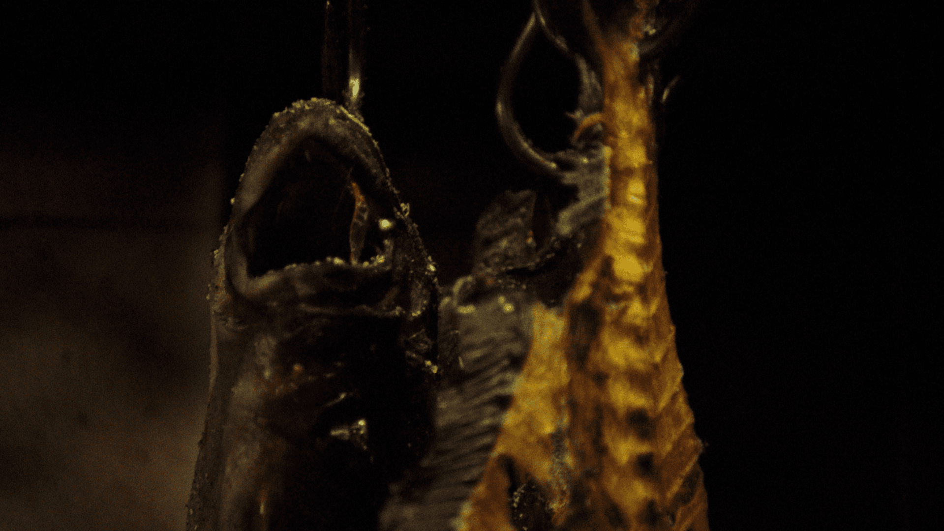 Cibus, portfolio item 4