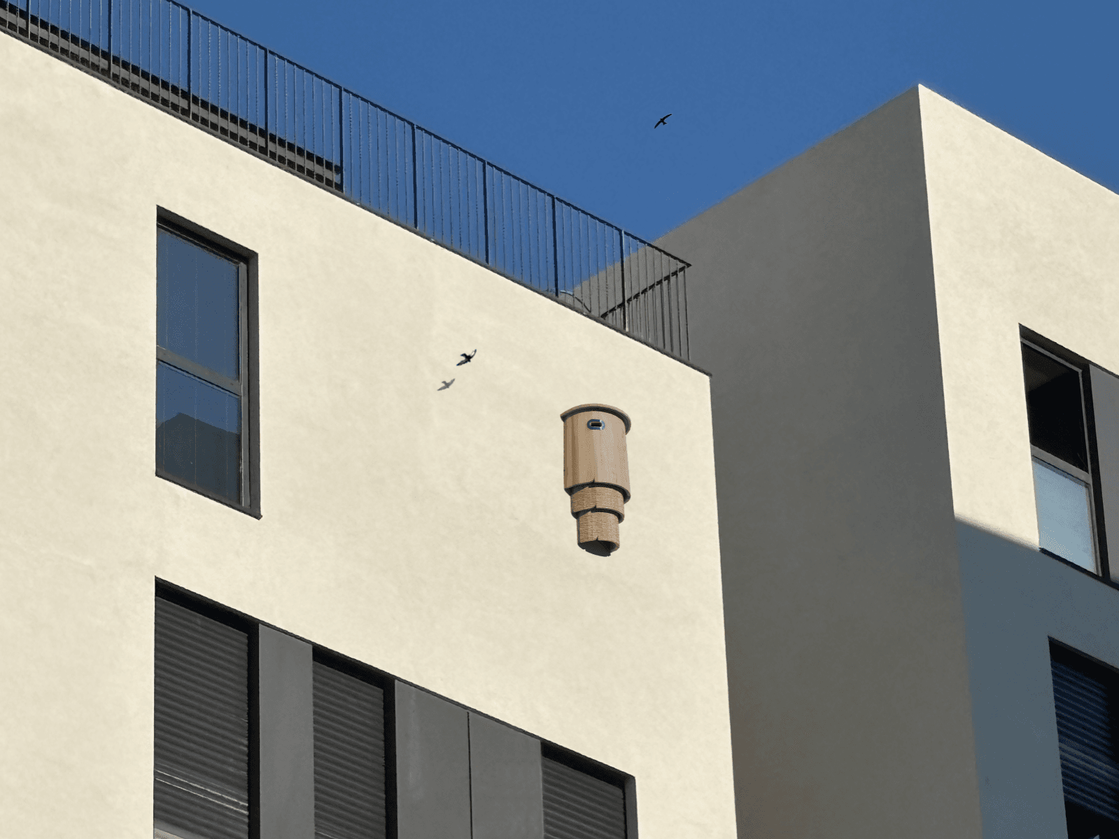 Urban Bark, portfolio item 1