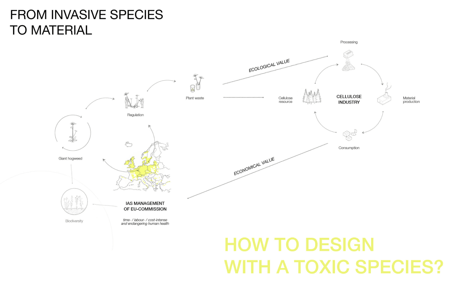 Pretty toxic, portfolio item 5