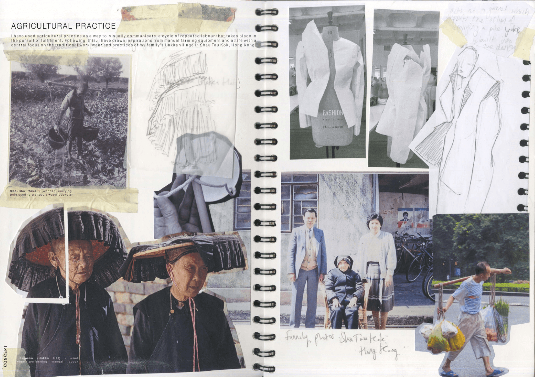 The fruit of my labour, portfolio item 4