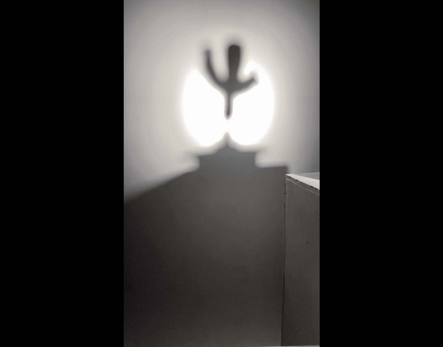 The time of the father, portfolio item 6