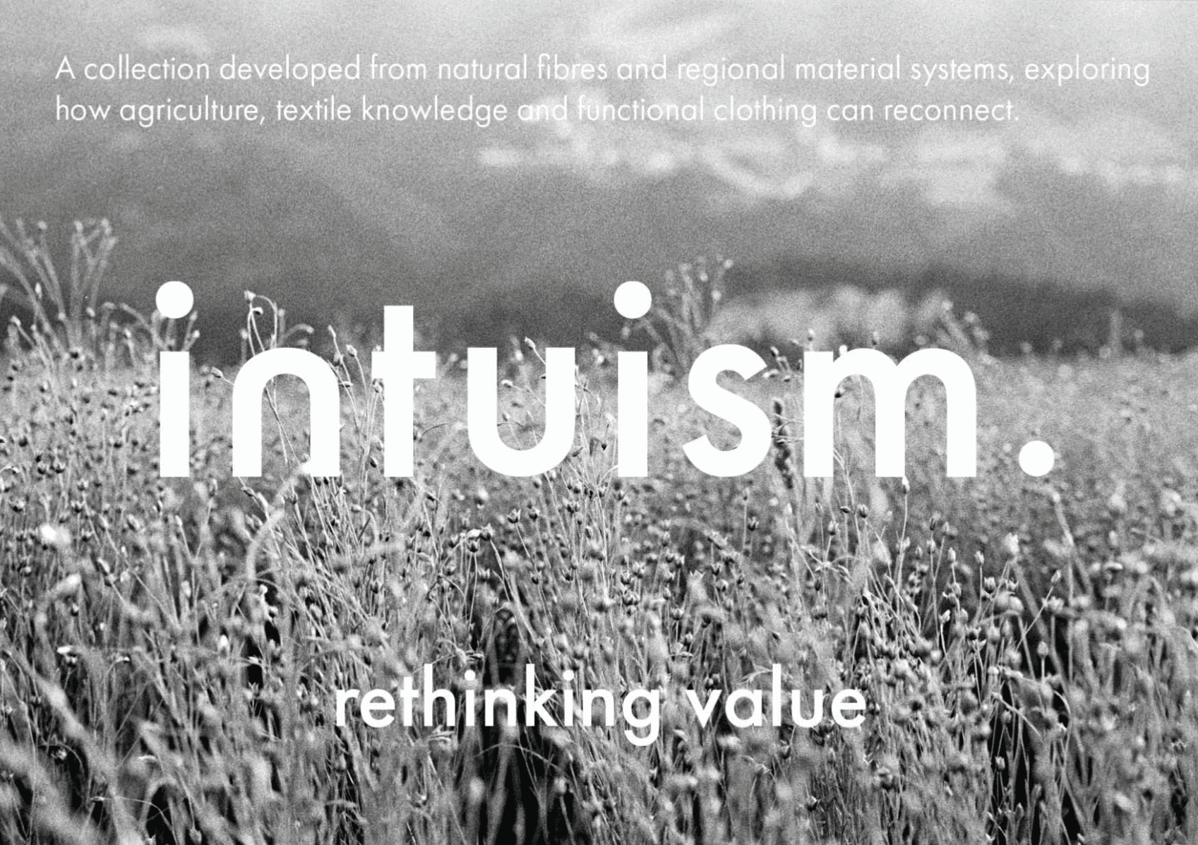 Intuism.crafts - rethinking value, portfolio item 1