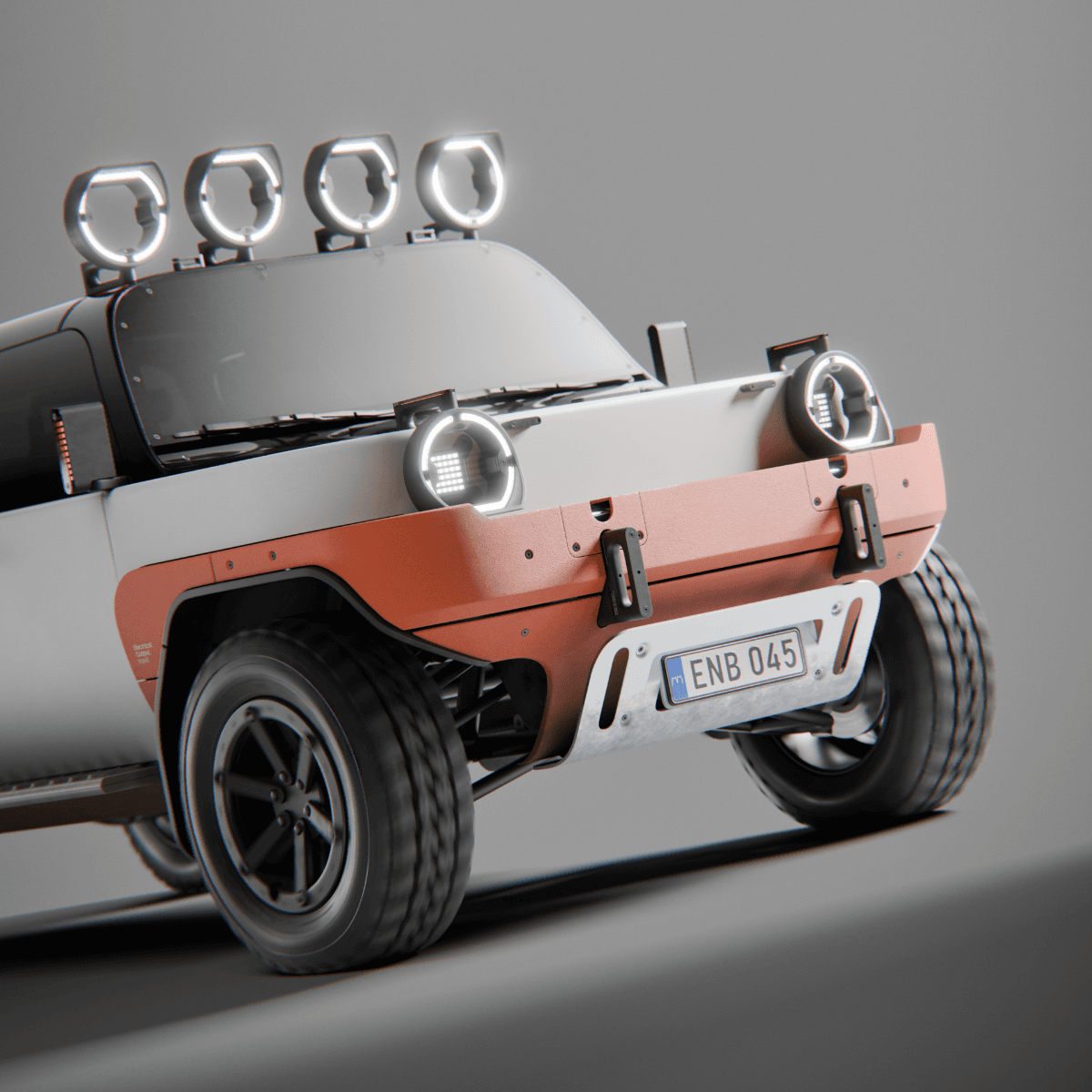 Anura, portfolio item 1