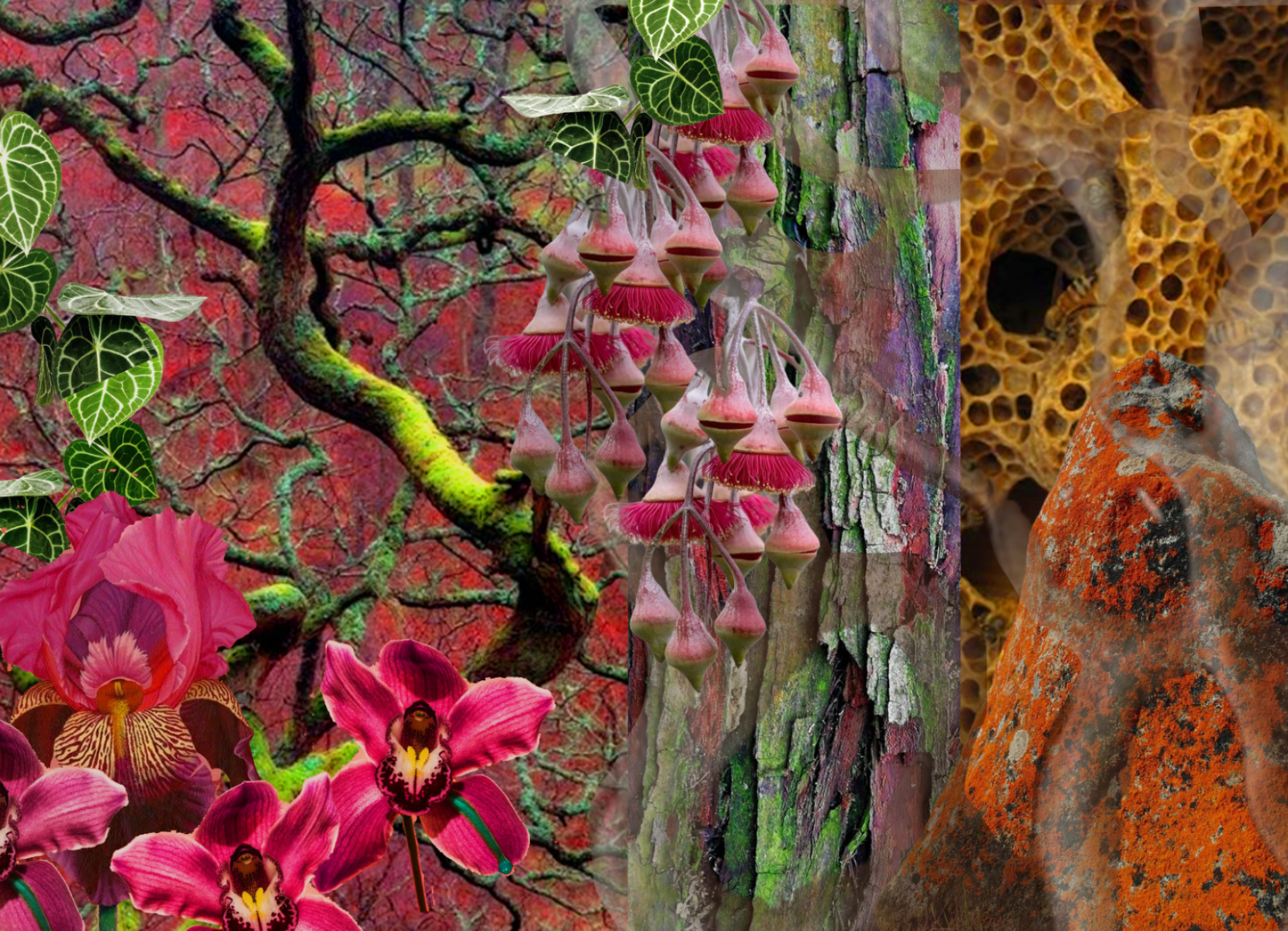 The secret garden, portfolio item 8