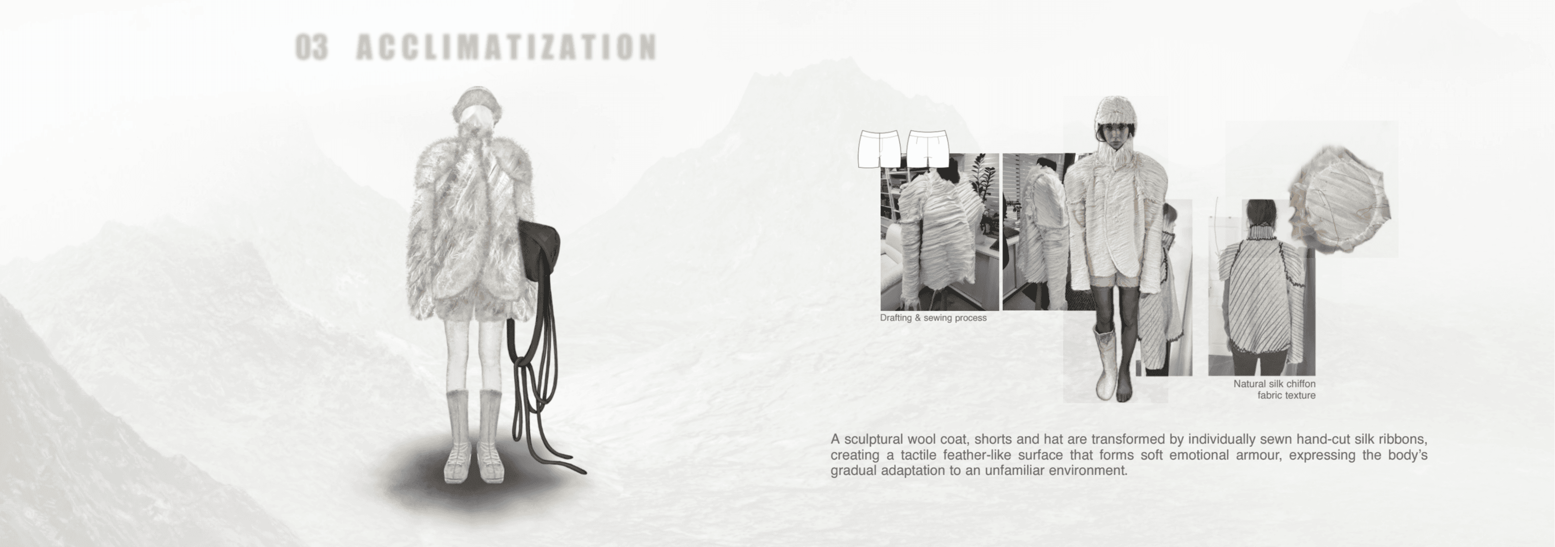 Tolimė, portfolio item 16