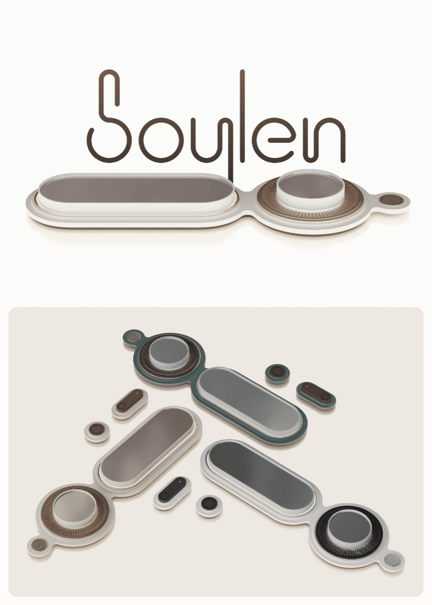Soylen - home weather station, portfolio item 2