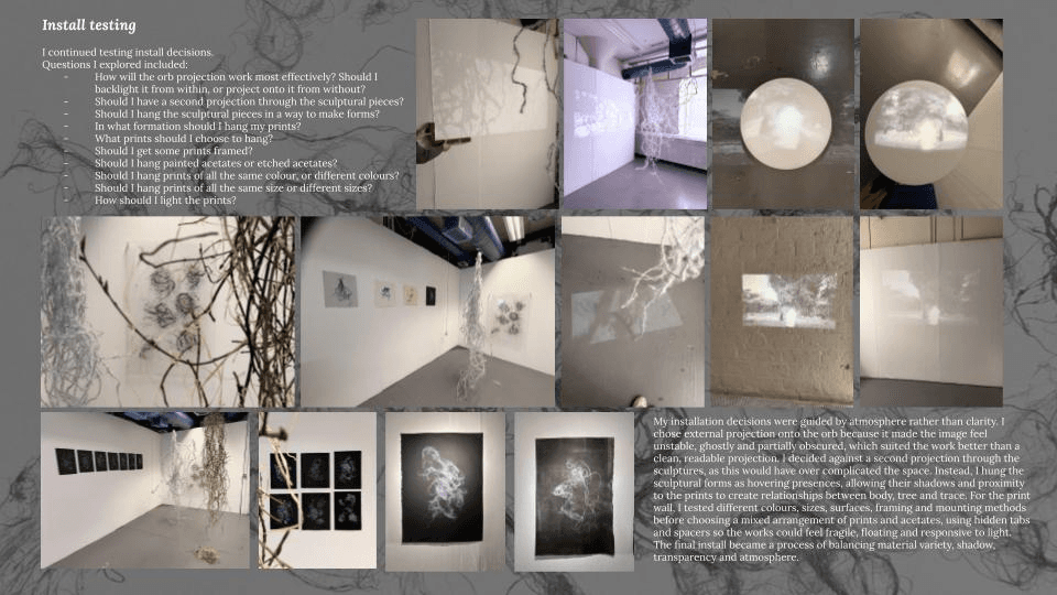 They That Sorrow / Lucht an Dobróin, portfolio item 18