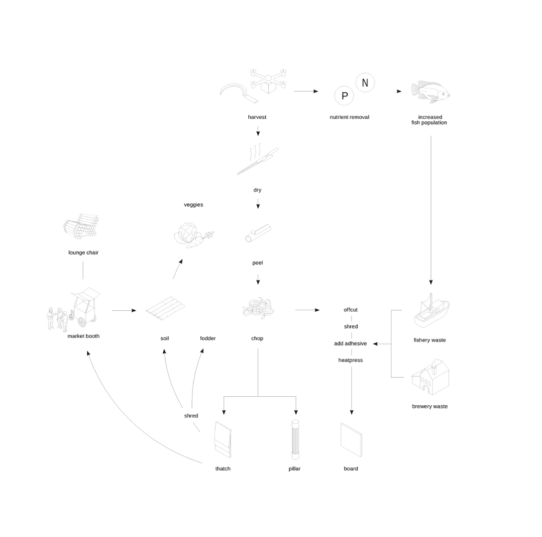 The Reed Cycle community, portfolio item 4