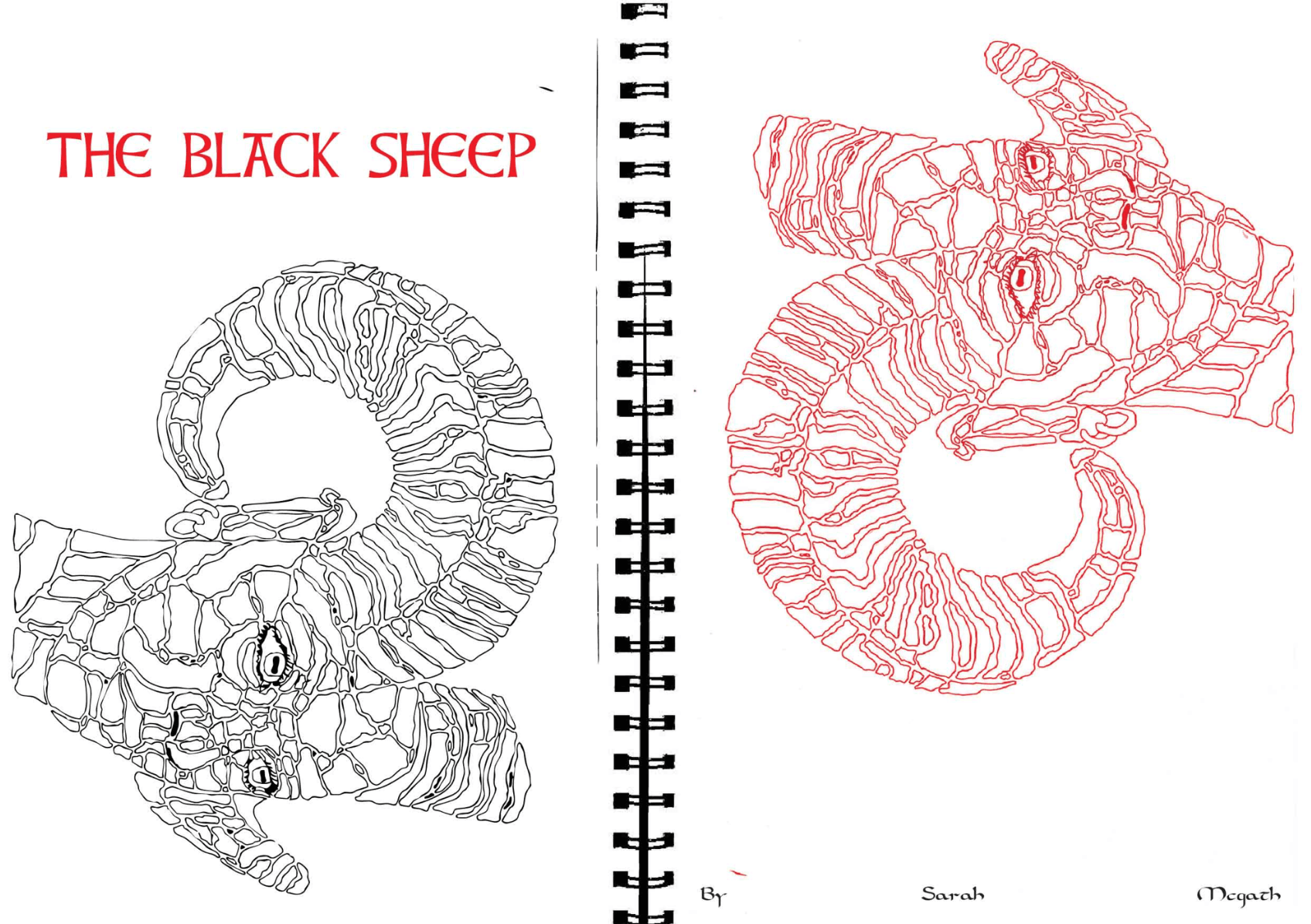 The Black sheep, portfolio item 2