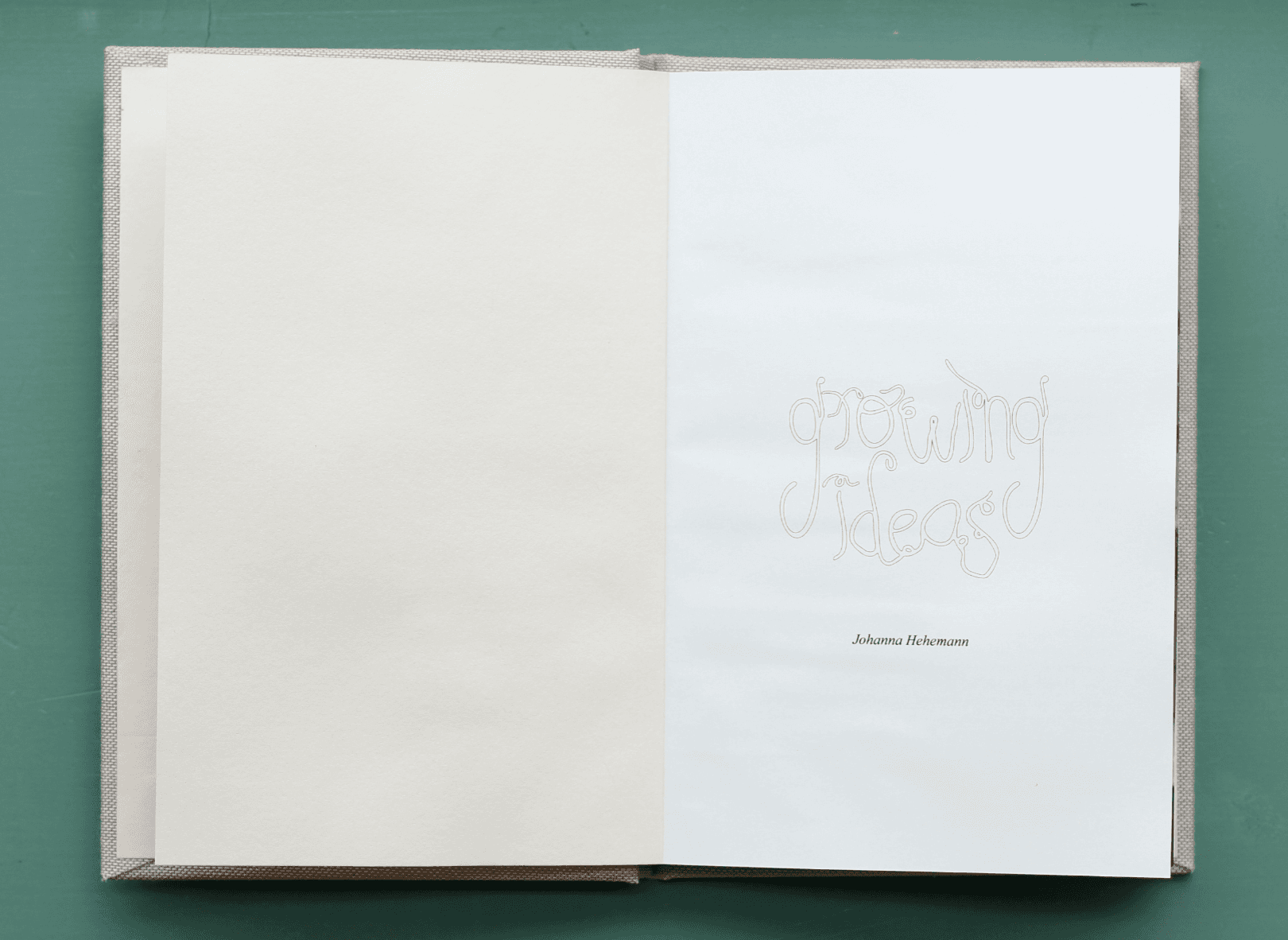 GROWING IDEAS, portfolio item 2