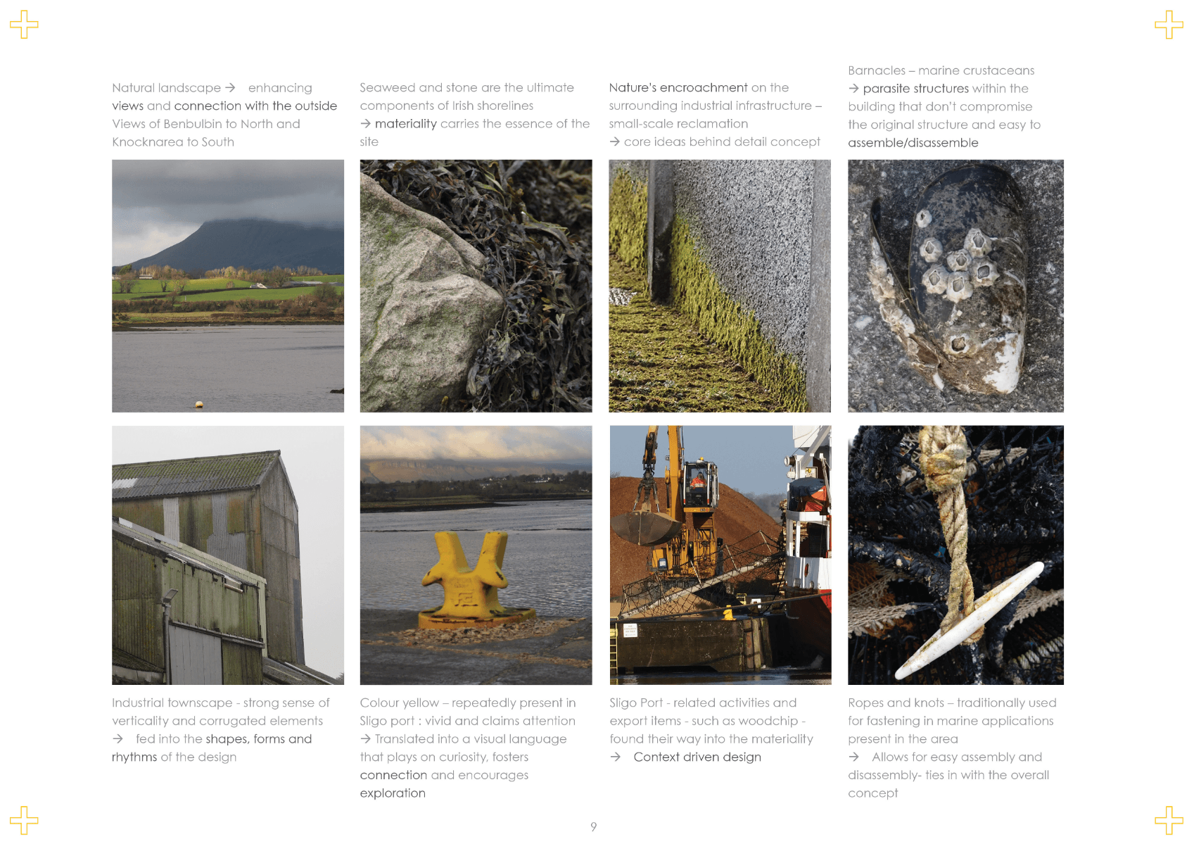 THe ark, portfolio item 6