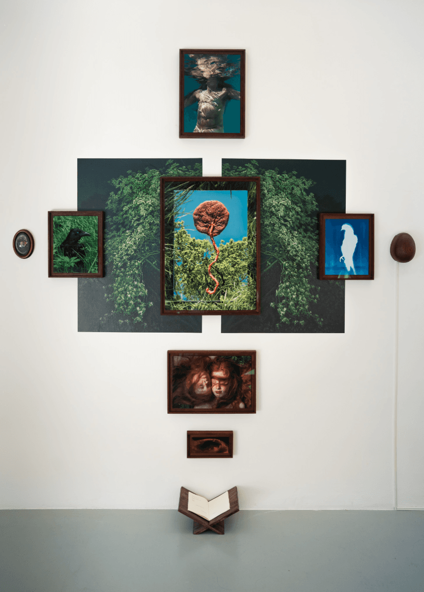 The rebirth of eve, portfolio item 1