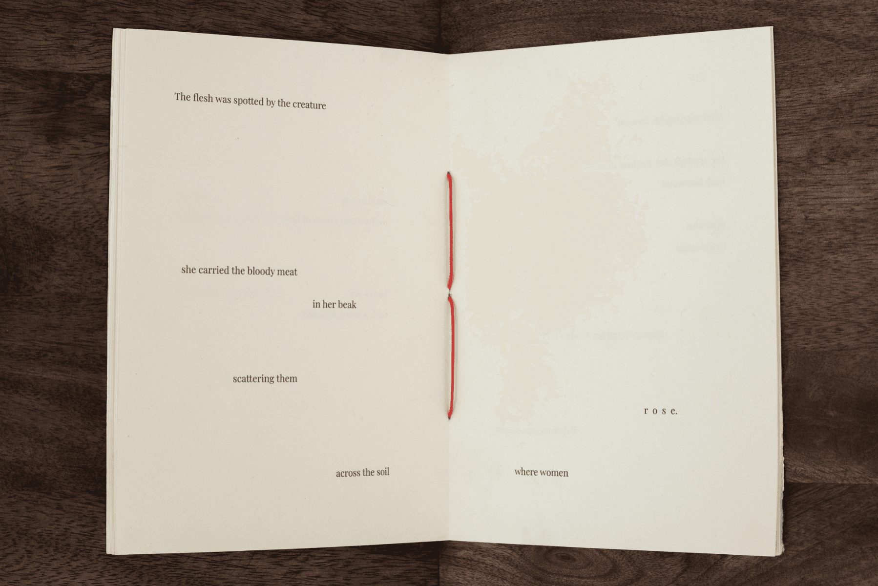 The rebirth of eve, portfolio item 6