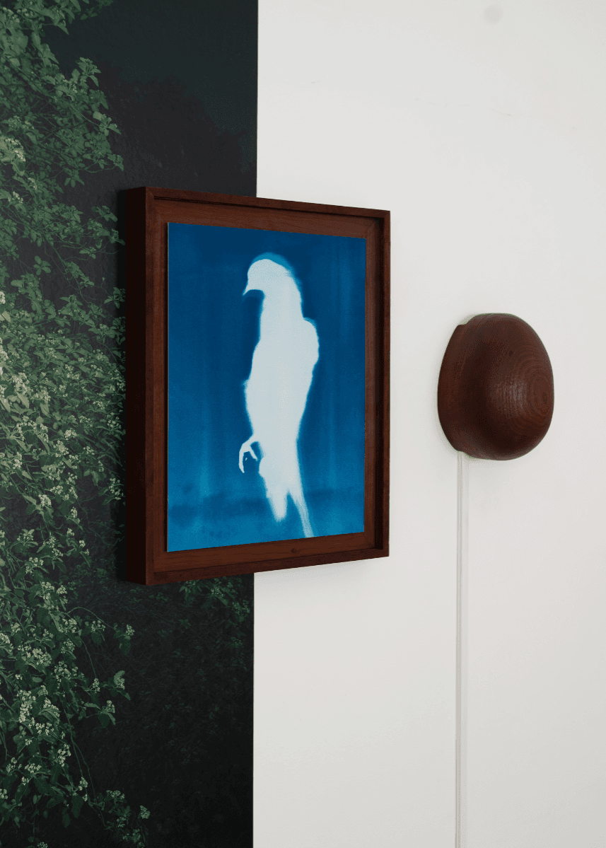 The rebirth of eve, portfolio item 8