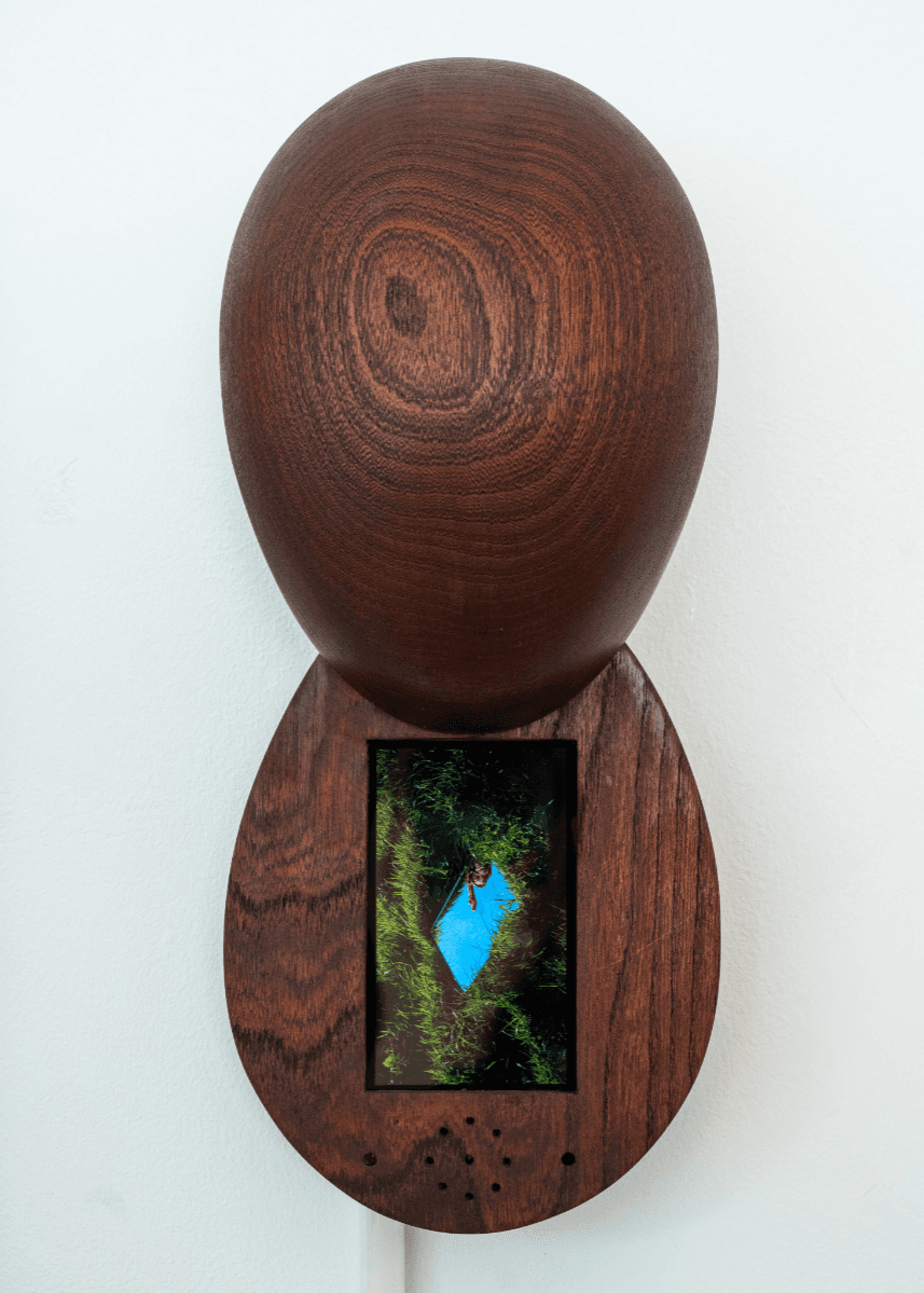 The rebirth of eve, portfolio item 10