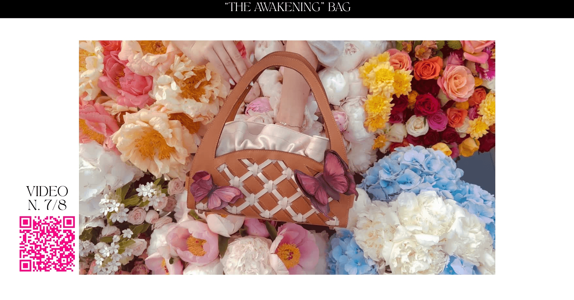 Picnic: alive bags, portfolio item 25