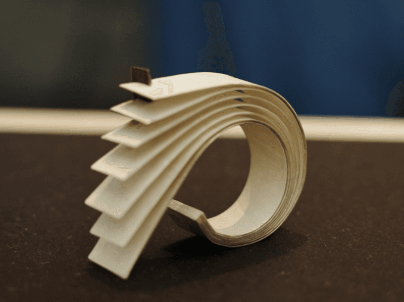 Ornaments of Resonance, portfolio item 2
