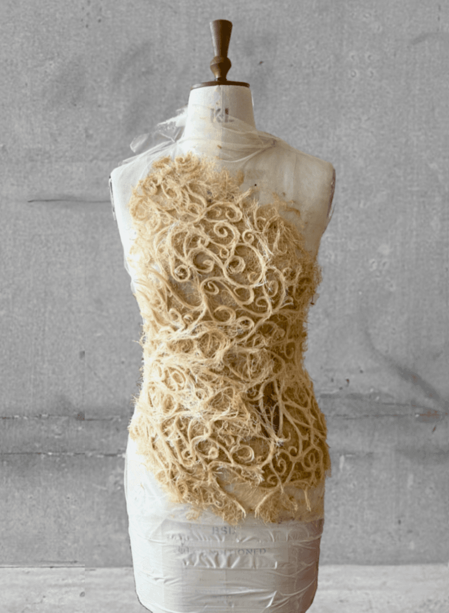The healing roots, portfolio item 3