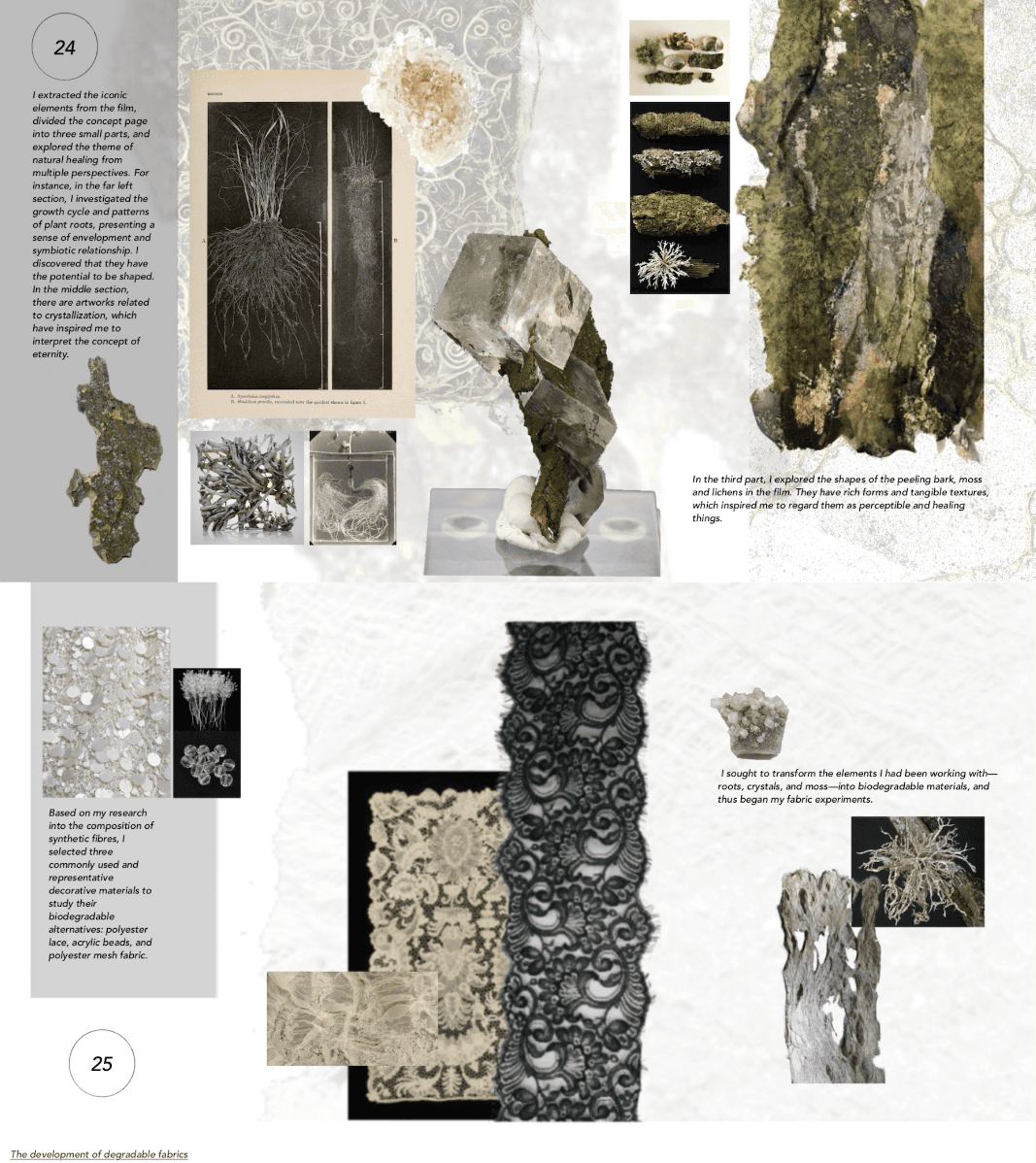 The healing roots, portfolio item 12