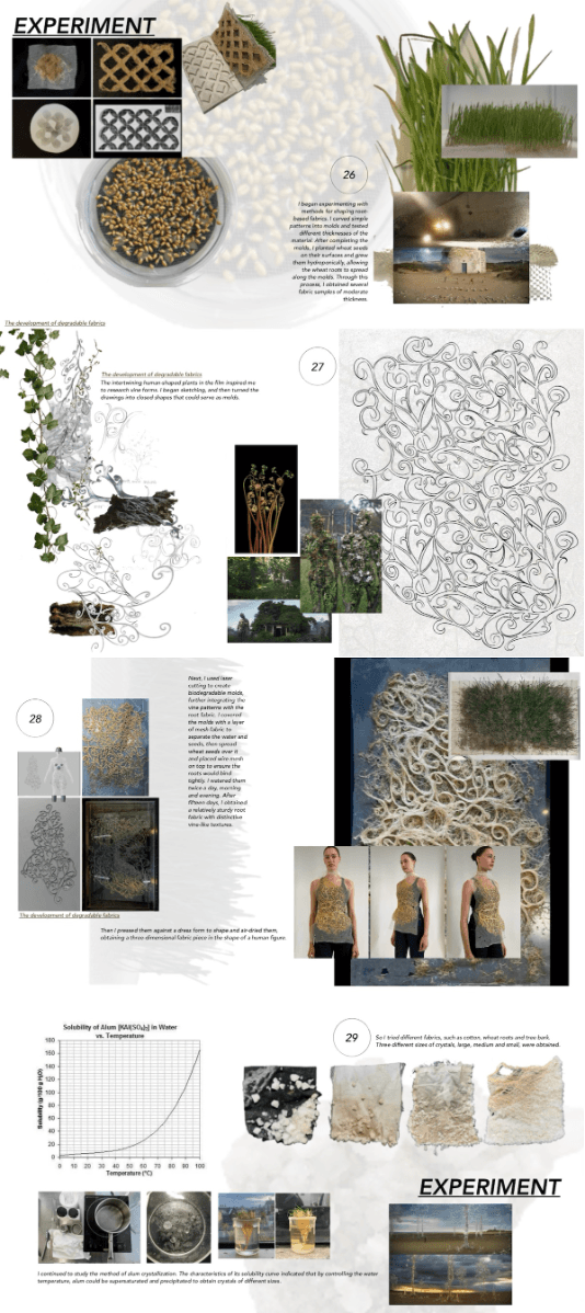 The healing roots, portfolio item 13