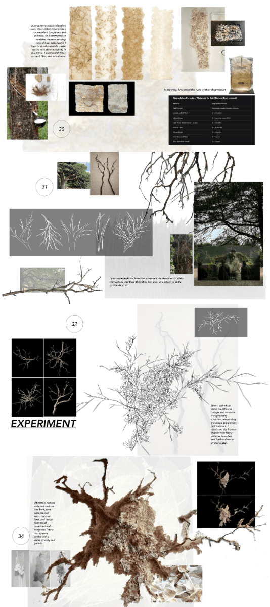 The healing roots, portfolio item 14