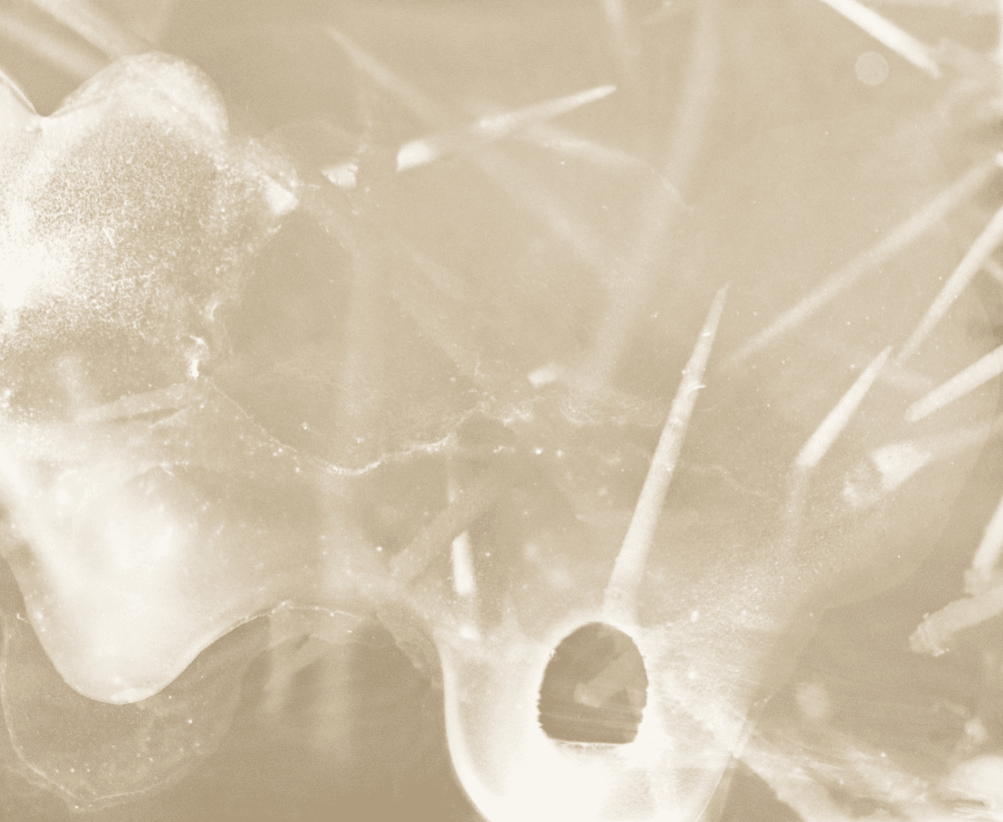 Grounded, portfolio item 9