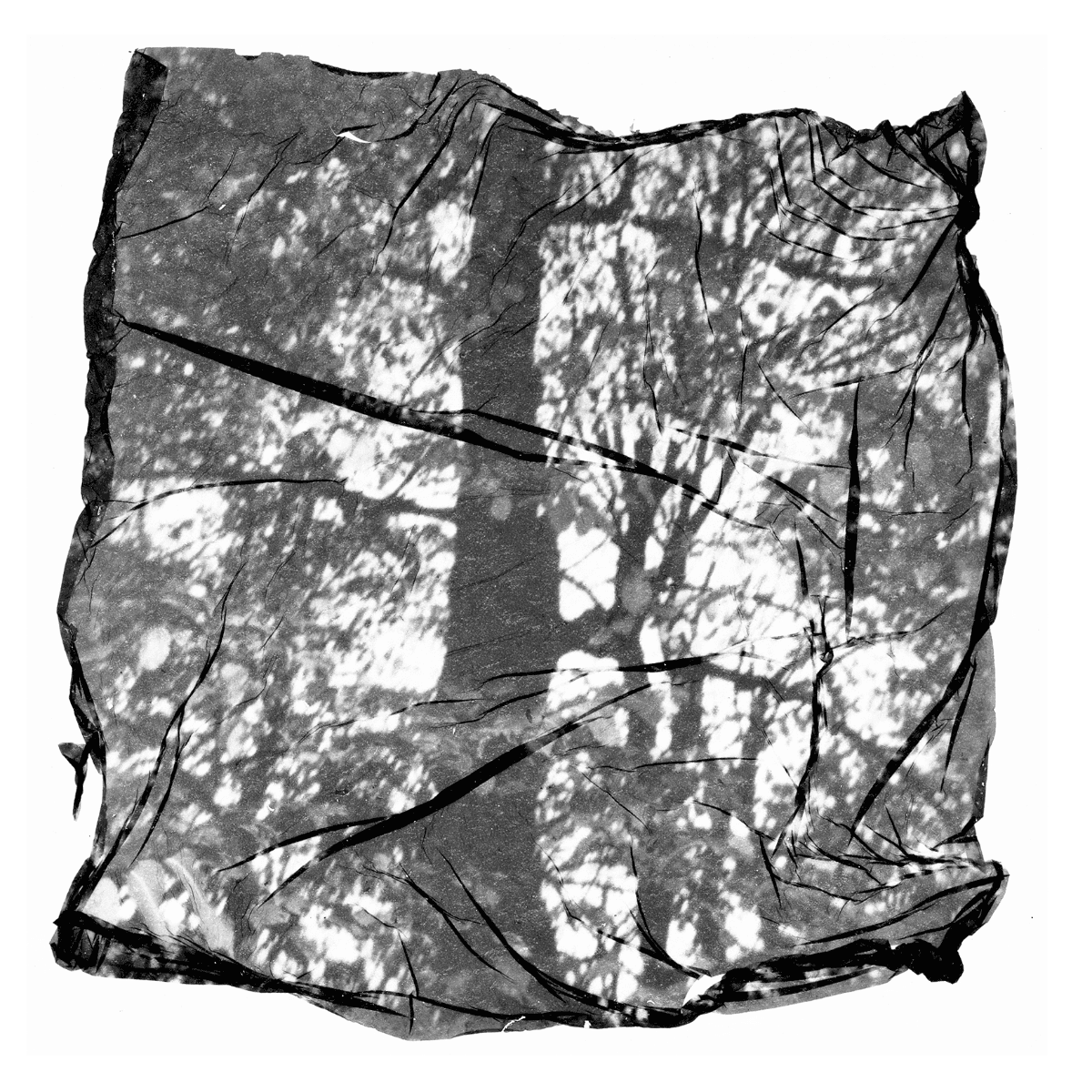 Grounded, portfolio item 13