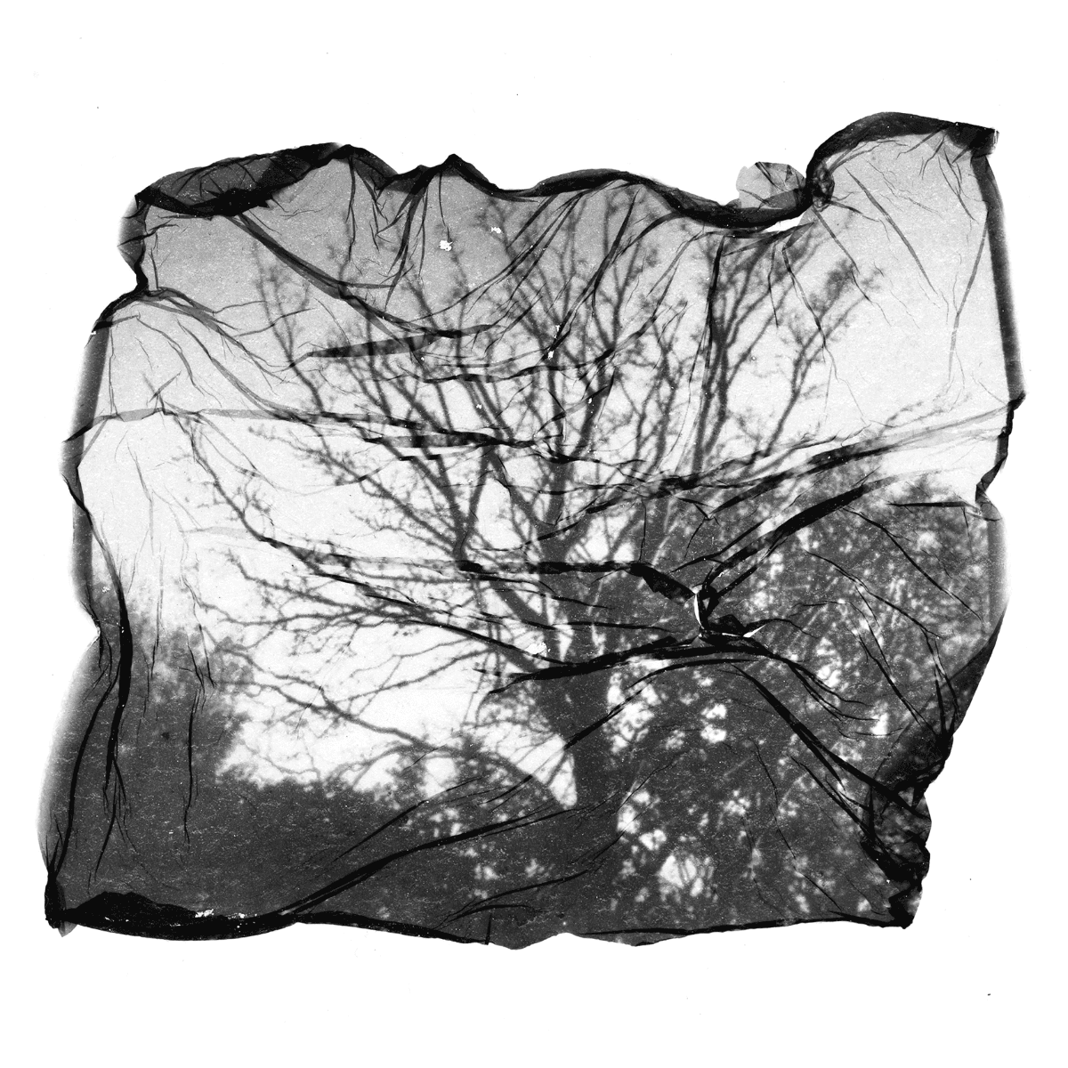 Grounded, portfolio item 14