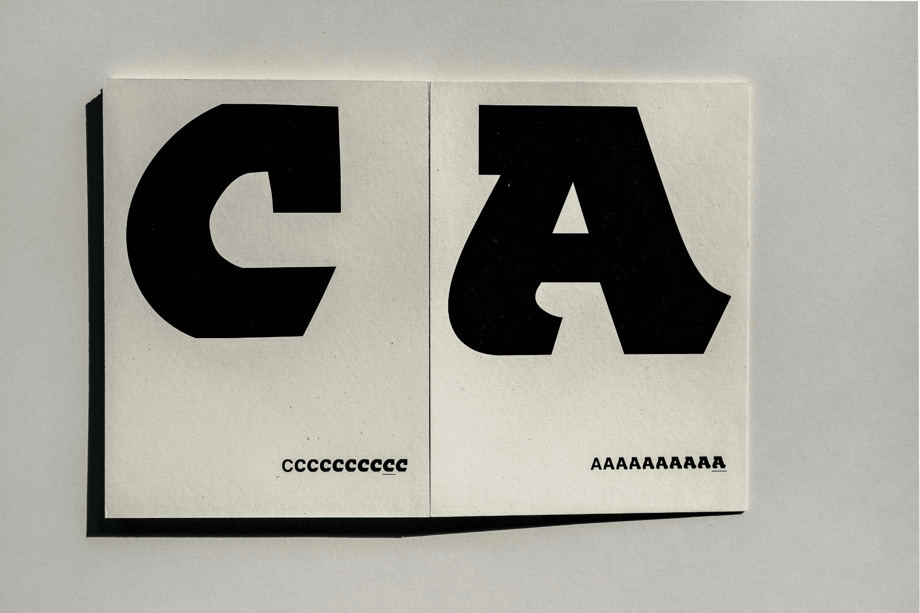 Jeepnetica, portfolio item 3