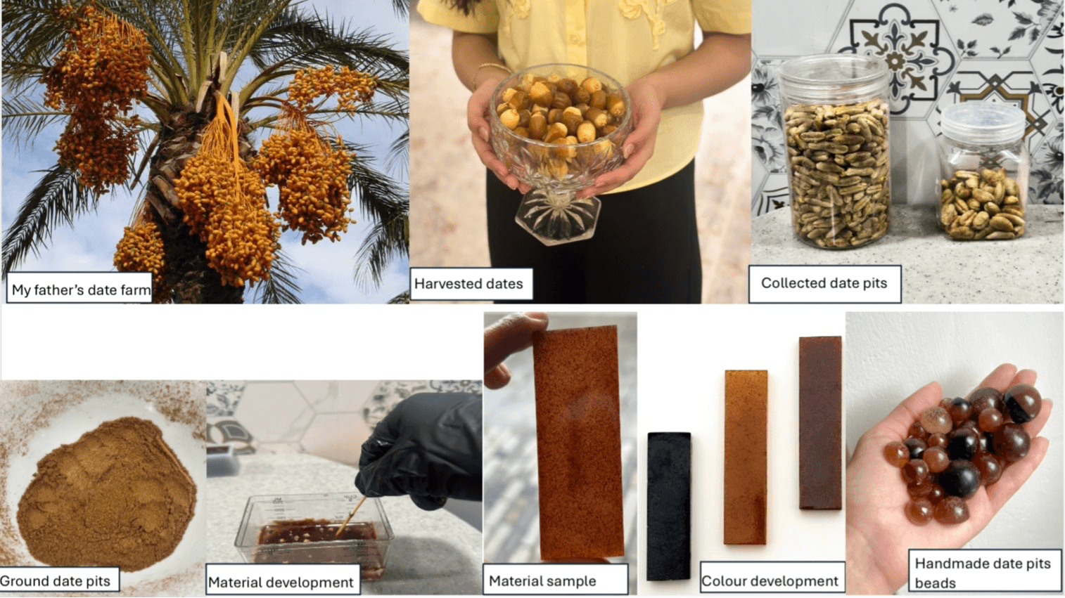 Beyond The Fruit, portfolio item 1