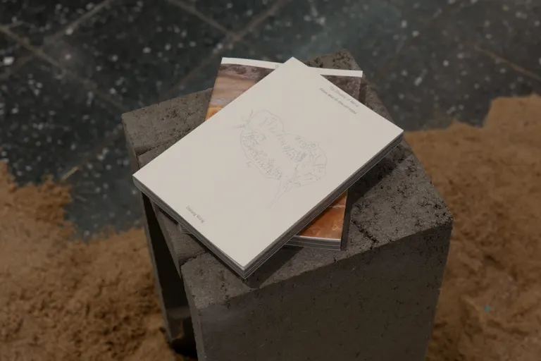 The Breath of Metal: Baiyin - what the mine left behind, portfolio item 18