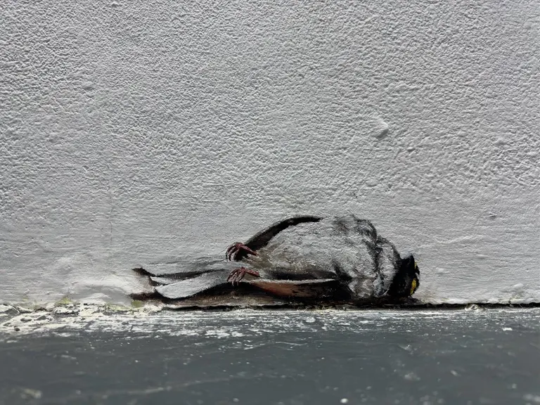 Exposure to death, portfolio item 9