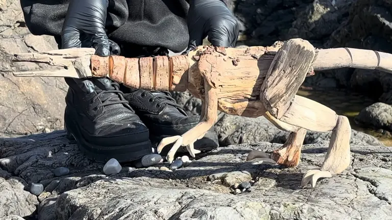 Driftwood puppets, portfolio item 17