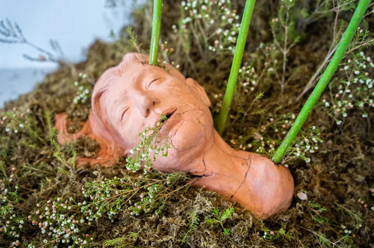 Garden Of Shapeshifters, portfolio item 4