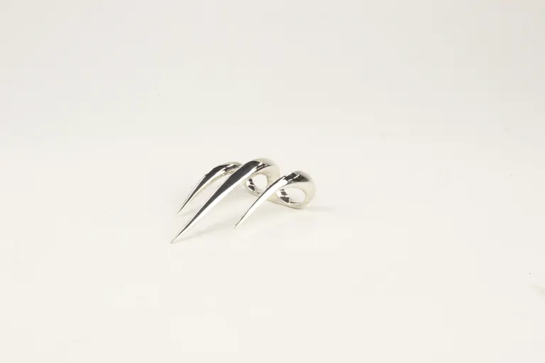 GO FASTER, BITE BETTER, portfolio item 8