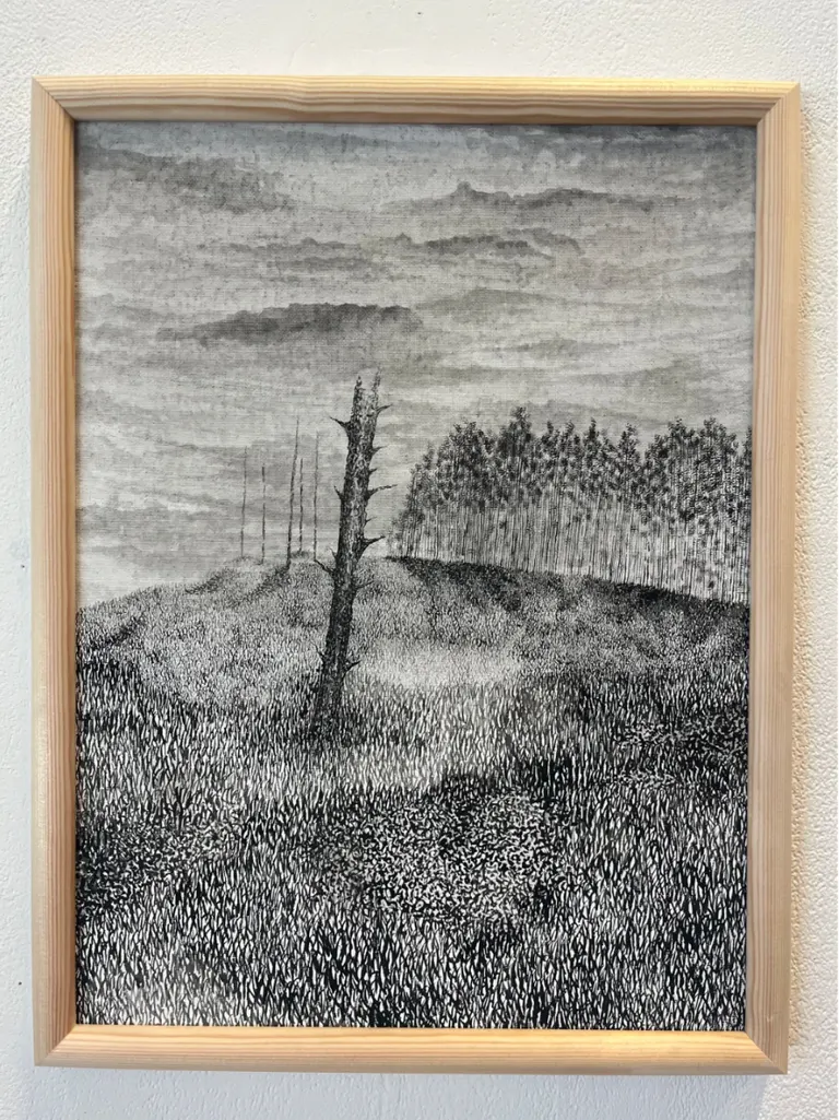 Understory, portfolio item 7