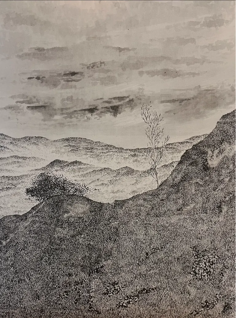 Understory, portfolio item 10