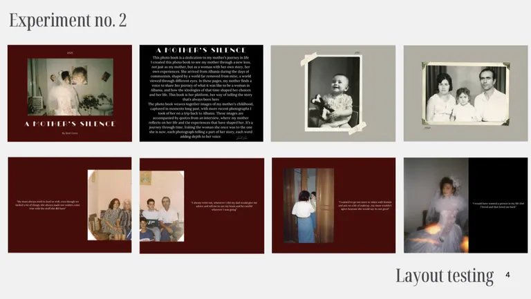 Zamira reka, portfolio item 13