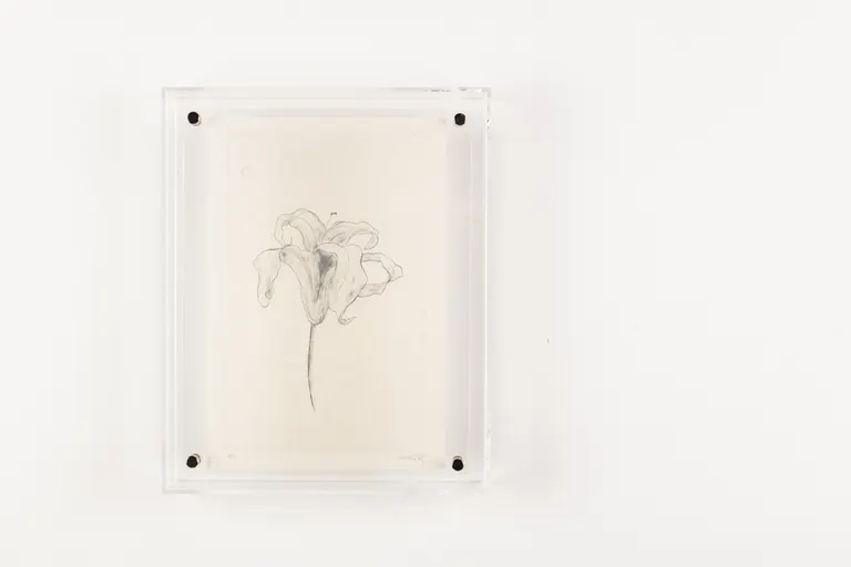Migration, portfolio item 1