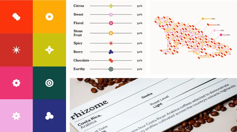 Rhizome, portfolio item 1