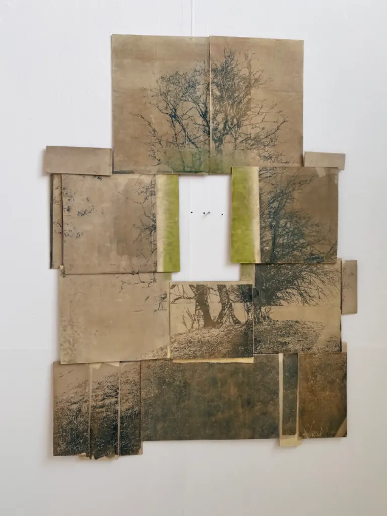 Mount, bramble, evanescent, portfolio item 4