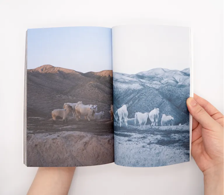 The Breath of Metal: Baiyin - what the mine left behind, portfolio item 26