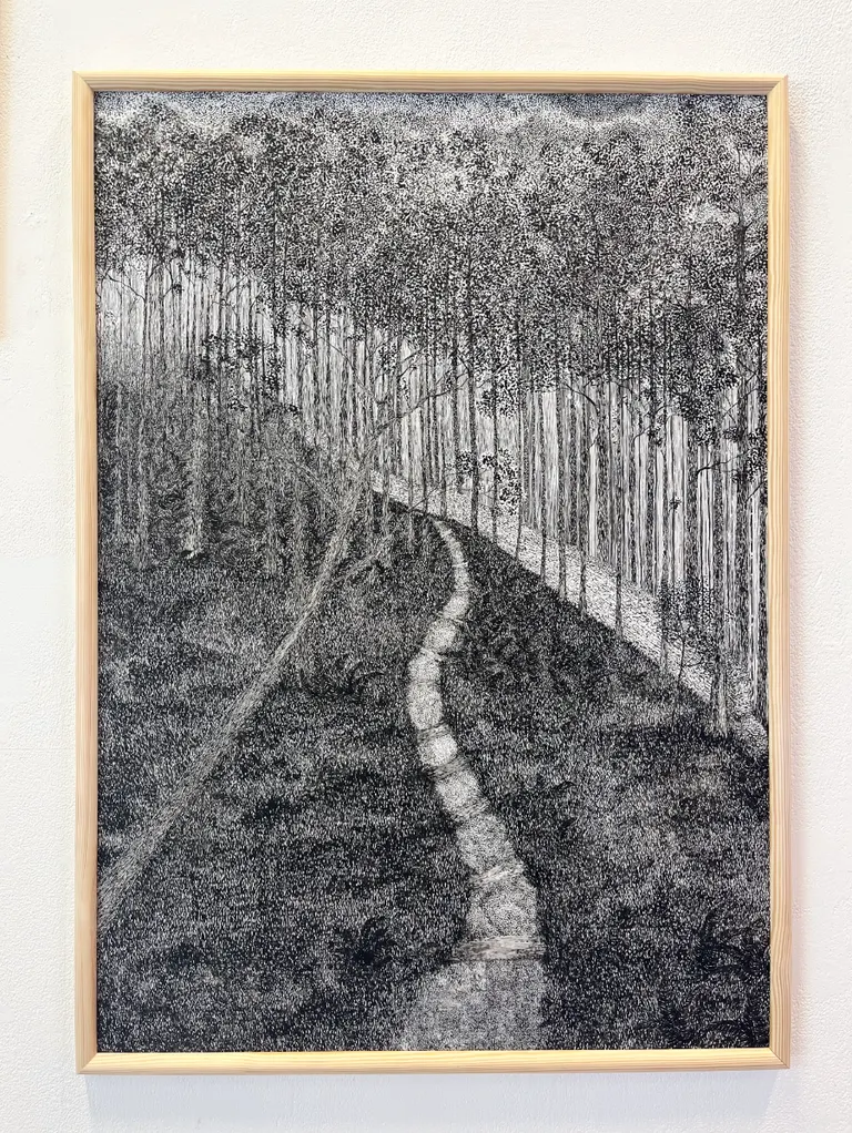 Understory, portfolio item 2