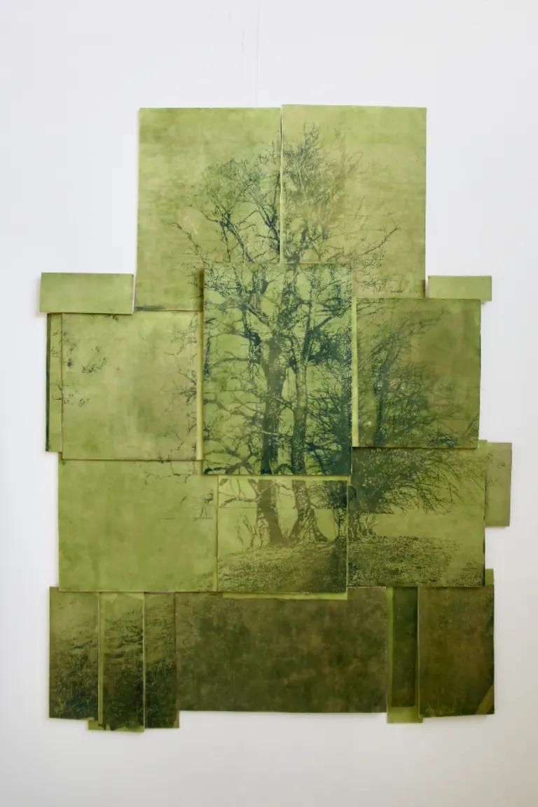 Mount, bramble, evanescent, portfolio item 3