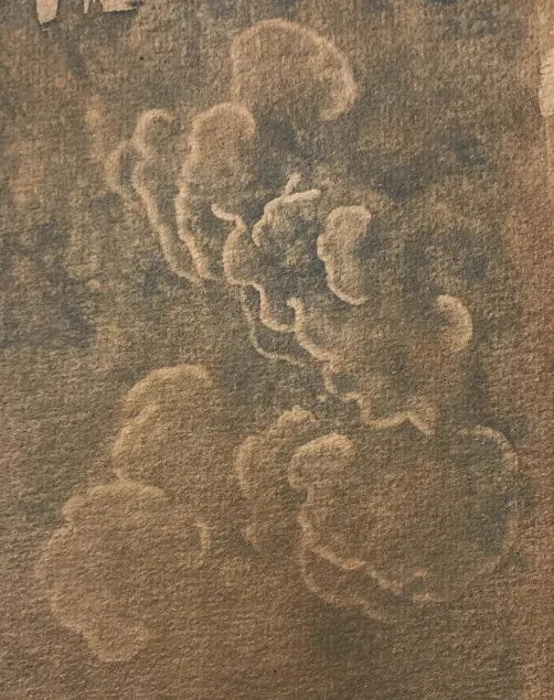 Touched by Mycelium, portfolio item 12