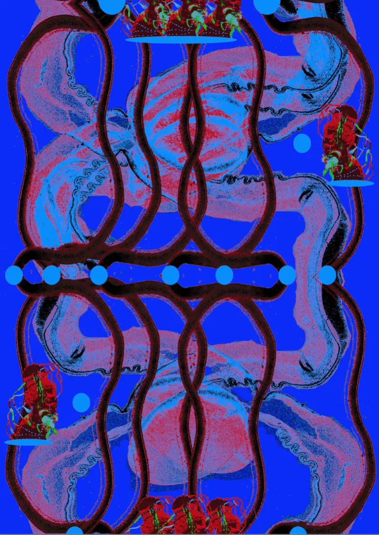 Where Do You Sit, If Not on Soil Ground, portfolio item 5