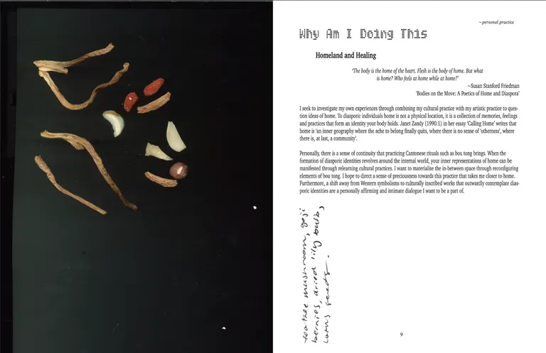 Emergency soup because what is happening right now (2025), portfolio item 4