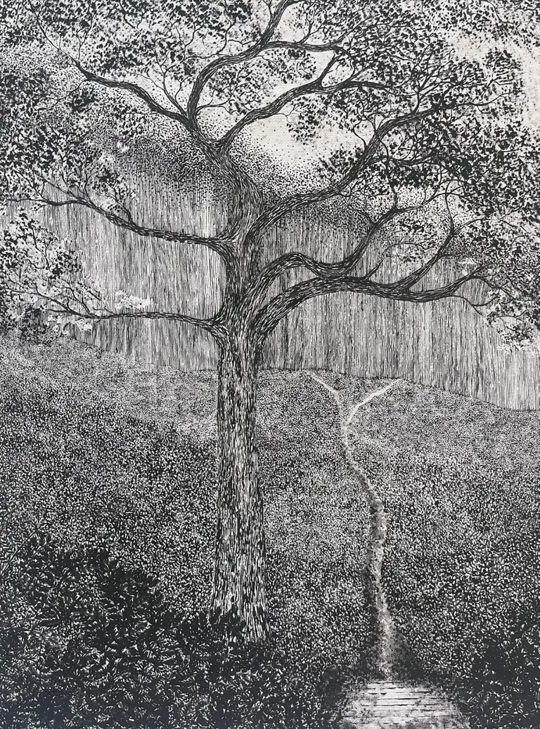 Understory, portfolio item 5