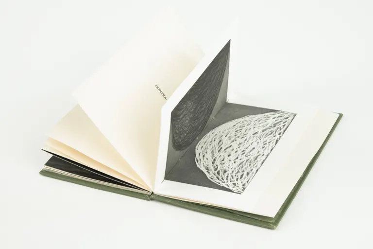 Migration, portfolio item 9
