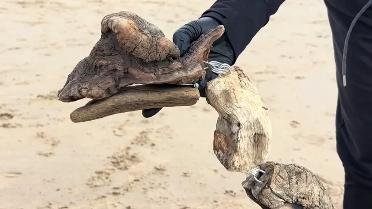Driftwood puppets, portfolio item 5